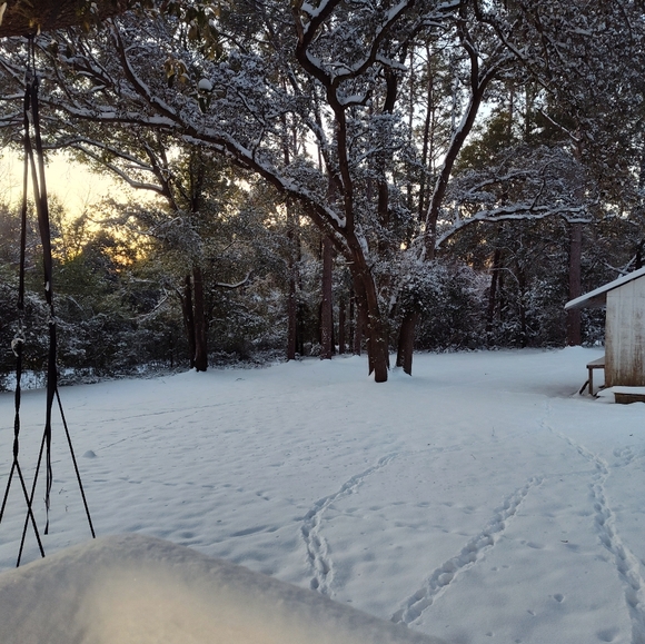 Meet your Posher, Lisa - Picture 8 of 10